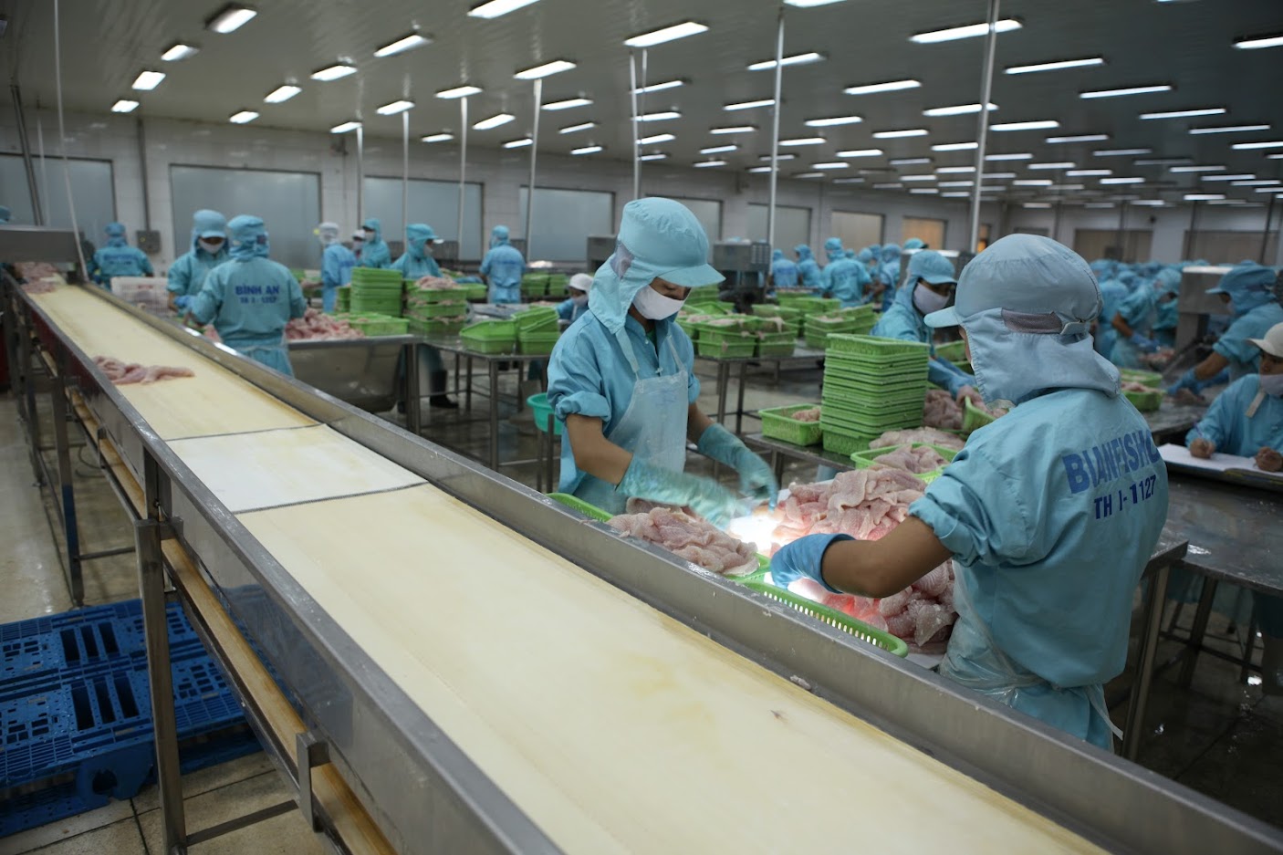 Xuất khẩu với mục tiêu 55 tỷ USD: Nhiều tín hiệu tích cực